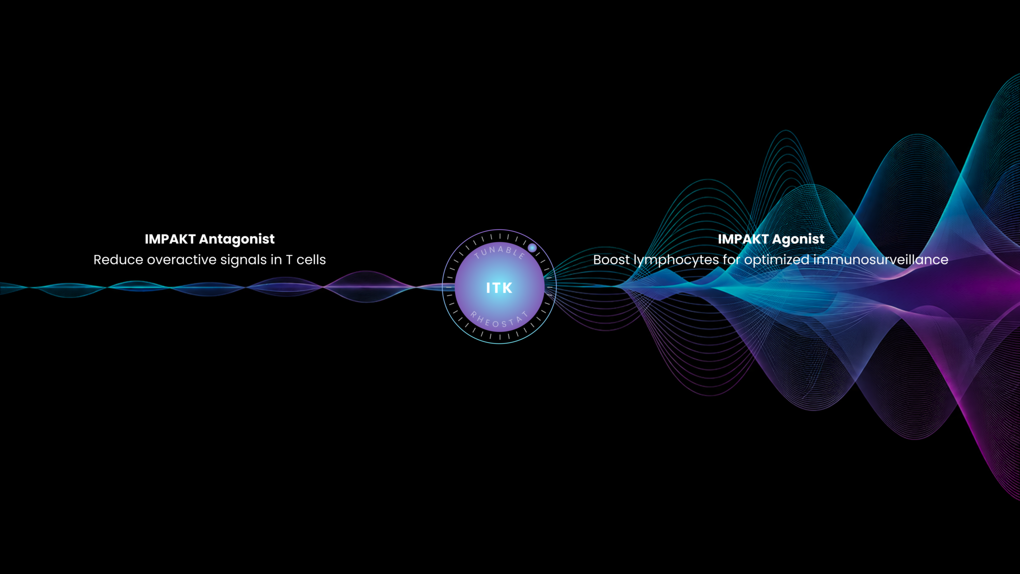 ITK Rheostat Graphic